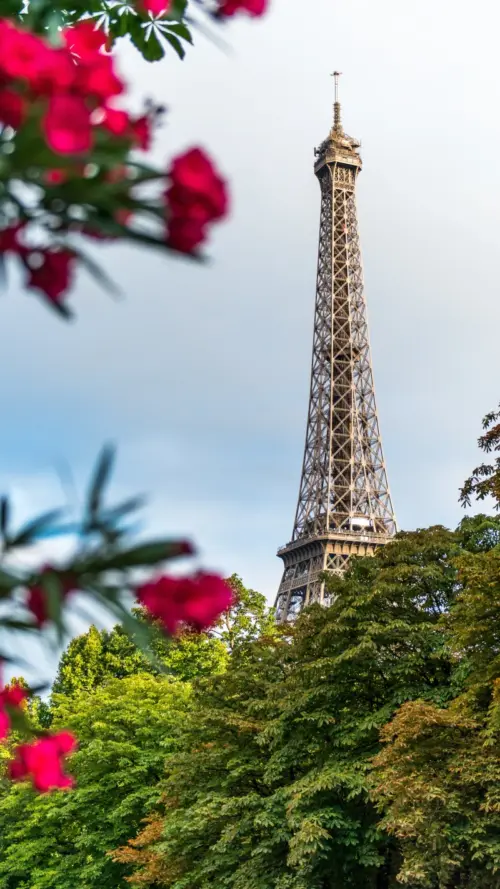 Eiffel Tower wallpaper HD 4K for phone