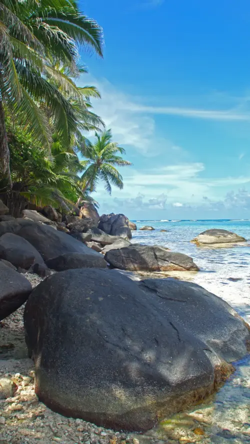 Beach wallpaper HD 4K for phone