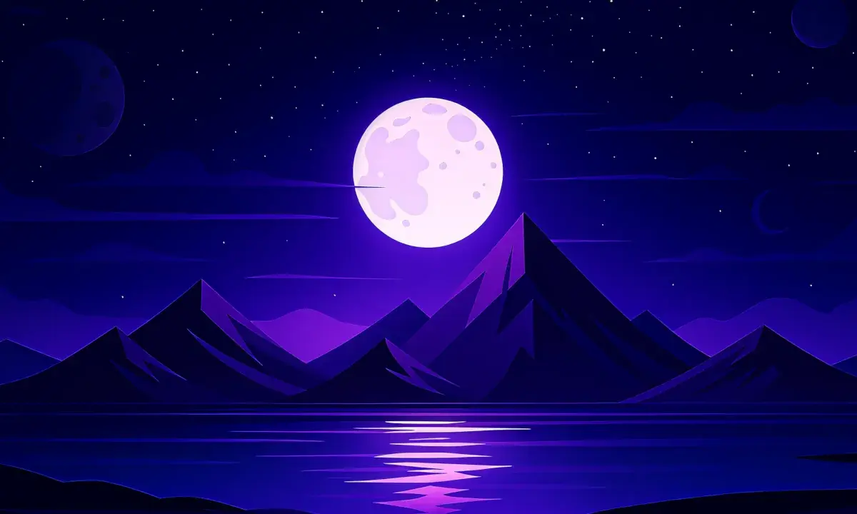 Paysage nocturne illustration