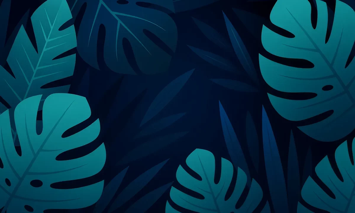Feuille illustration