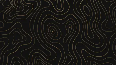 Black and gold fluid geometric pattern