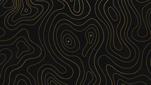 Black and gold fluid geometric pattern