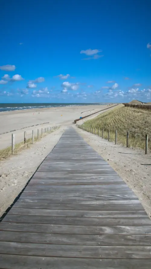 Beach Photography