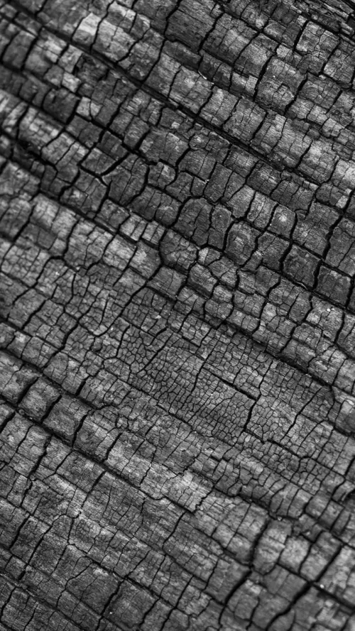 Black charcoal texture