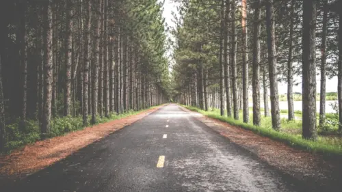 Route dans une foret fonds d’écran HD 4K pour ordinateur