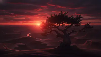Couchée de soleil dans une savane