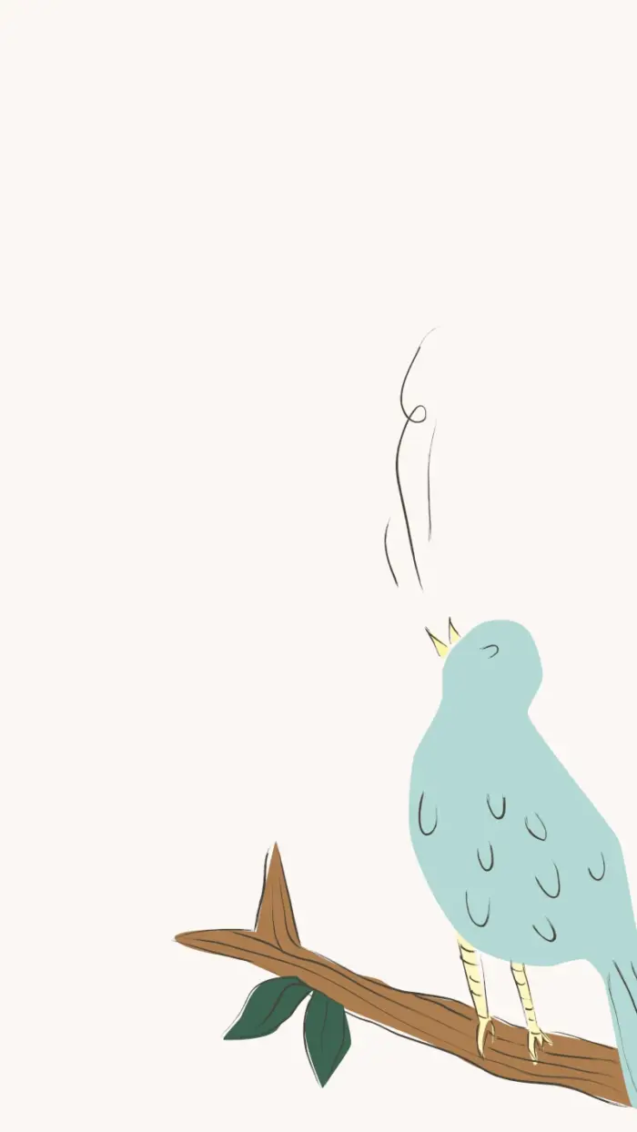 Bluebird on a branch, singing