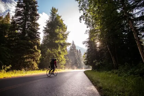 Cyclist at sunrise in the forest wallpaper HD 4K for desktop