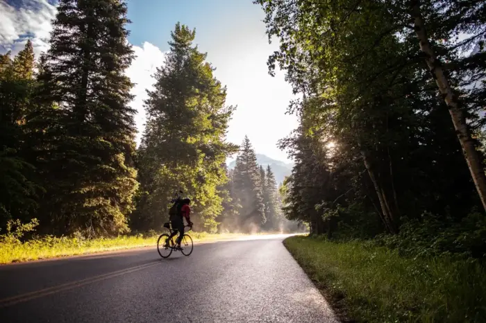 Cyclist at sunrise in the forest