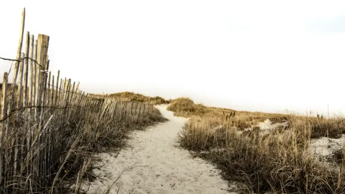 Trail through the Dunes, Nature and Soothing