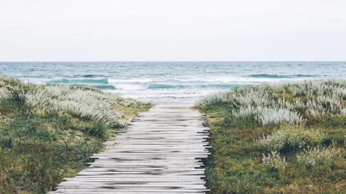 Wooden Path Leading to the Sea