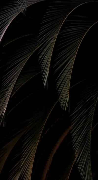 Feuilles Tropicale Styler