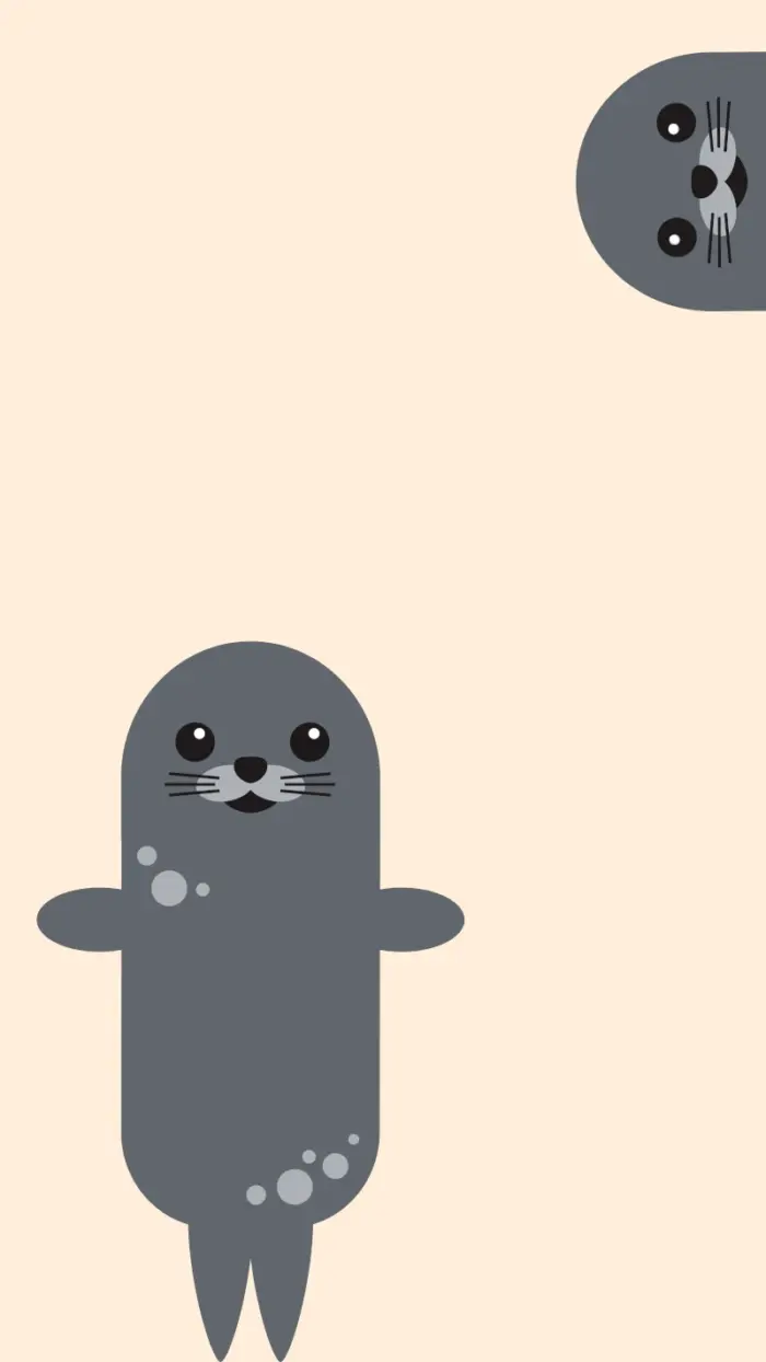 Cute adorable and soothing seal