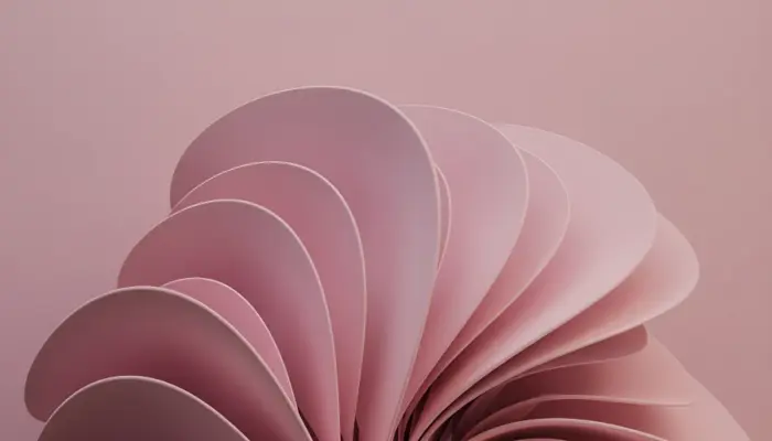 Abstract Pink Windows 11 Fluid and Elegant Style