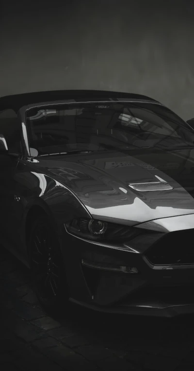 Black and white Ford Mustang photograph