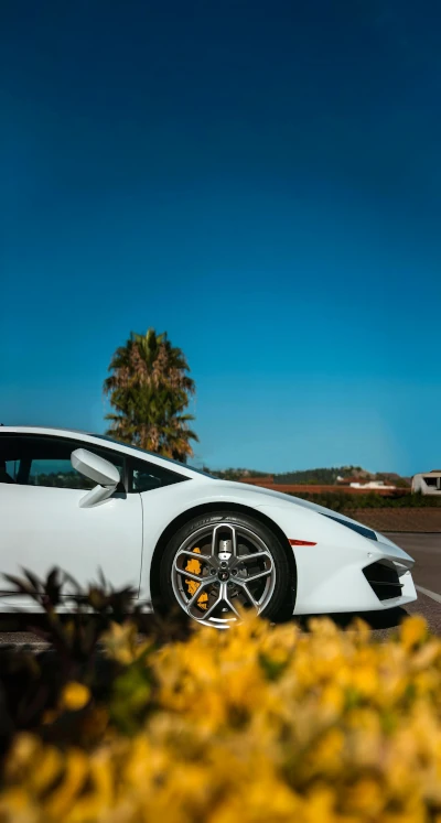 White Lamborghini Phone Background