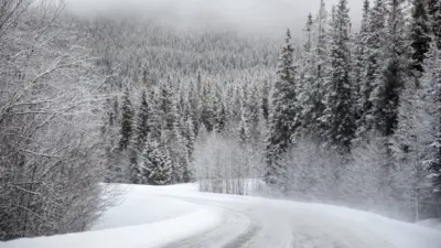 Paysage et foret enneigée