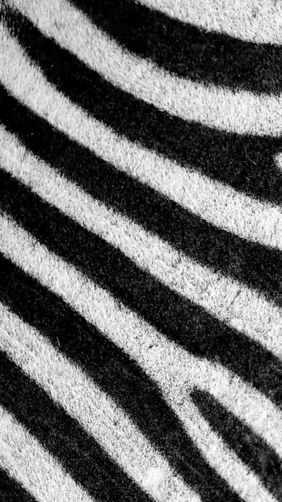 Zebra graphic texture for mobile