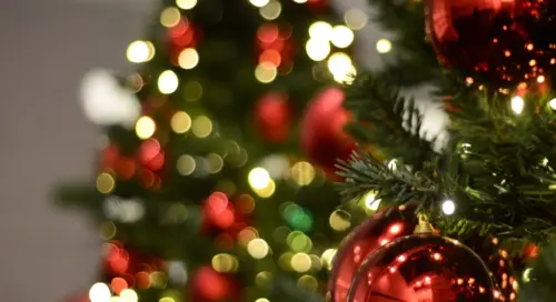 Photograph of a Christmas tree and red baubles