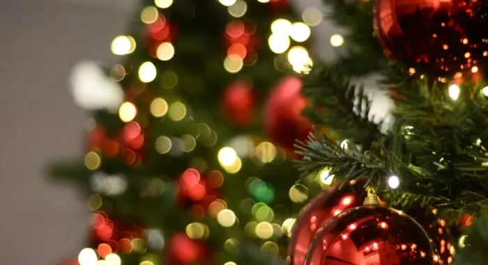 Photographie Sapin de noel et boules rouge