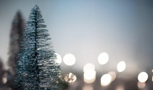 Small miniature Christmas tree