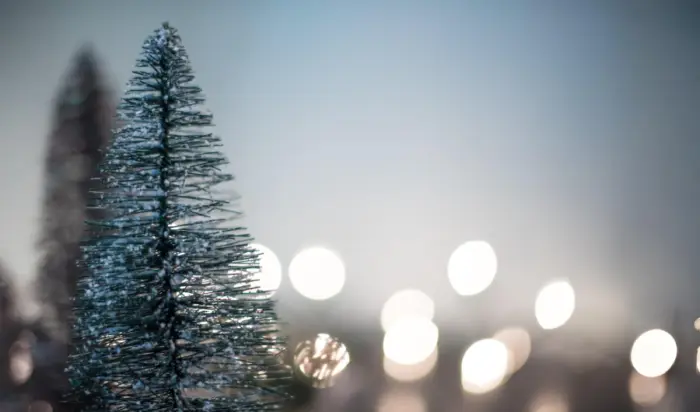 Petit sapin de noel miniature