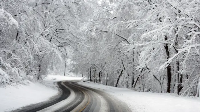 Snowy road in the forest