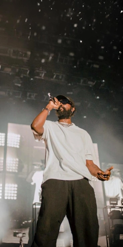 Photograph of Damso in concert