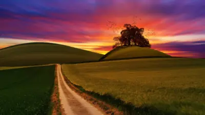 Paysage de collines aux couleurs magnifiques du coucher de soleil