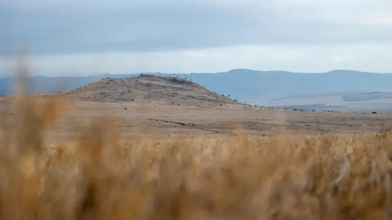 Paysage Sauvage avec montagne