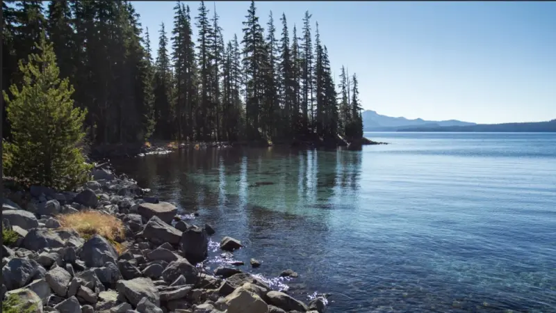 Lac turquoise et forêt de sapin