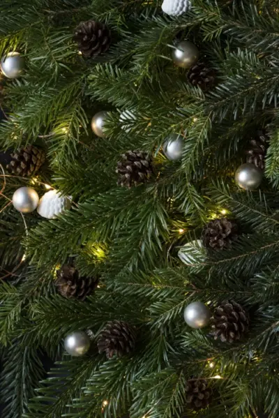 Arrière plan sapin de noel