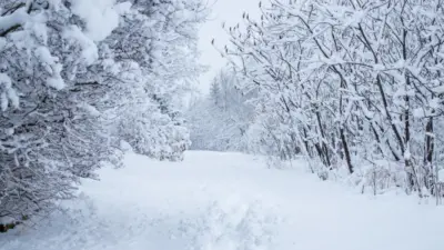 Paysage d'hiver enneigé