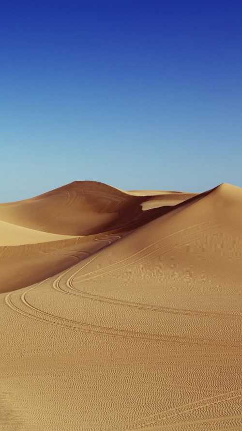 Arrière plan desert avec ciel bleu