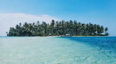 Ile de palmier tropical