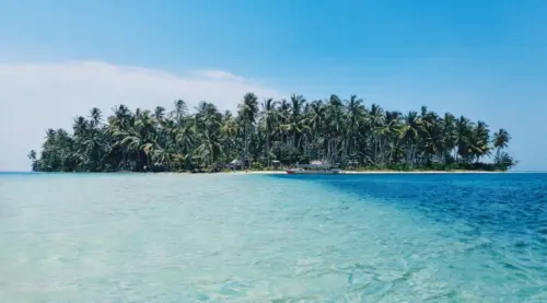 Tropical Palm Island wallpaper HD 4K for desktop