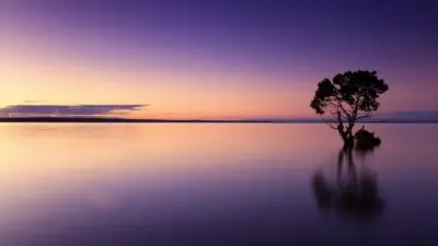 Lake at sunset