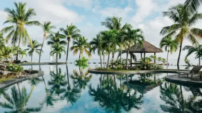 Tropical photography with palm trees and a swimming pool