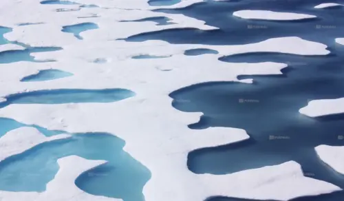 Arctic ice and blue water aerial view landscape wallpaper HD 4K for desktop