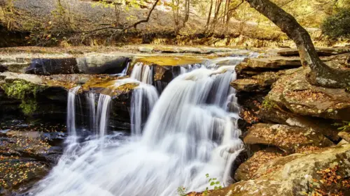 Autumn landscape and waterfall in the forest