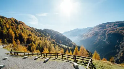 Paysage de montagne et forêt d'automne