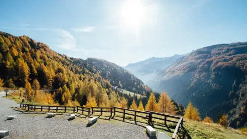 Mountain landscape and autumn forest