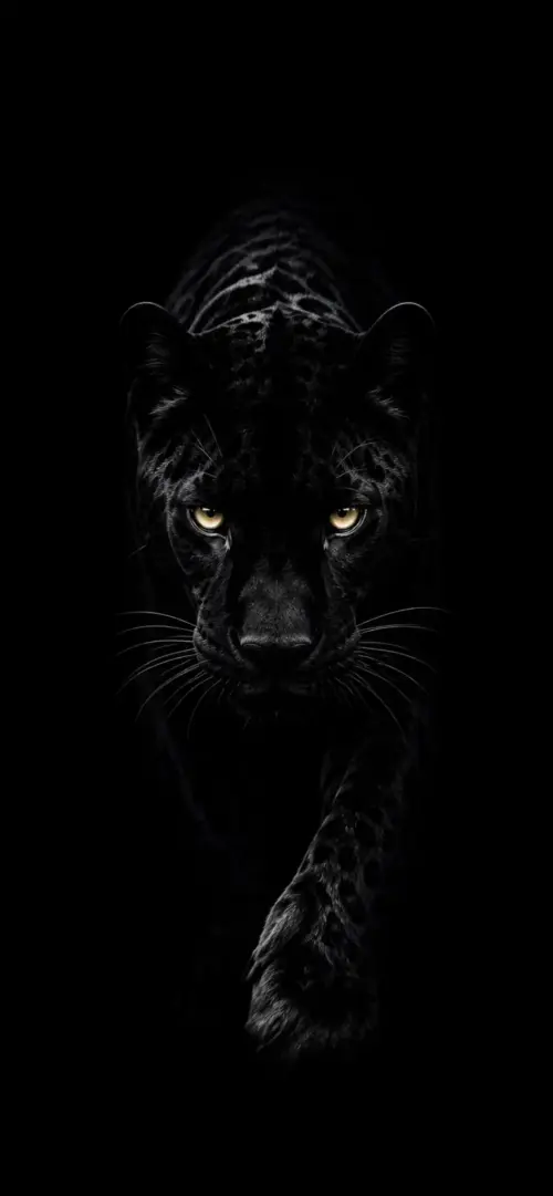 Black Panther Dark Background for Mobile