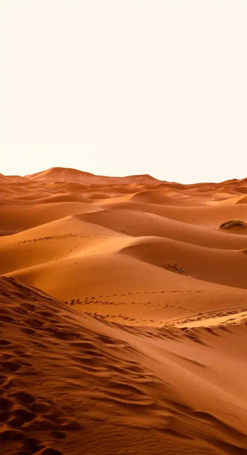 Desert dunes orange sand minimalist landscape