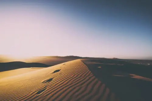 Dune crest at sunset in the desert