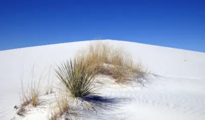 Dunes de sable blanc et ciel bleu minimaliste nature