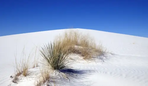 White sand dunes and minimalist blue sky nature wallpaper HD 4K for desktop