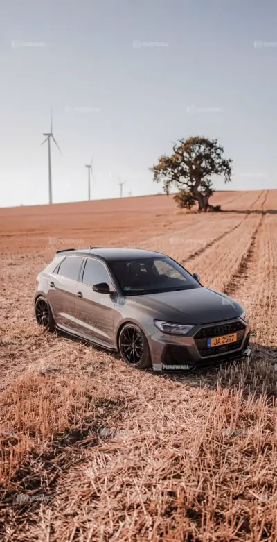 A gray Audi in a crop field