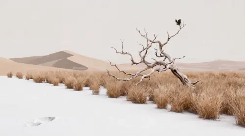 Minimalist desert landscape with a solitary tree