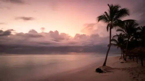 Tropical beach and palm trees at sunset wallpaper HD 4K for desktop